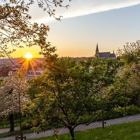 Sunset & Bloom Attic - Near Parks & Cafes Apartman Prága